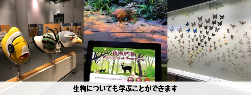 香港科學館 - 施設４写真