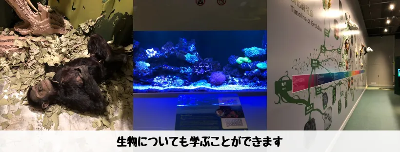 香港科學館 - 施設５写真